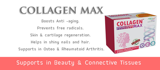 Beauty Connective Tissues Powder - Collagen Max